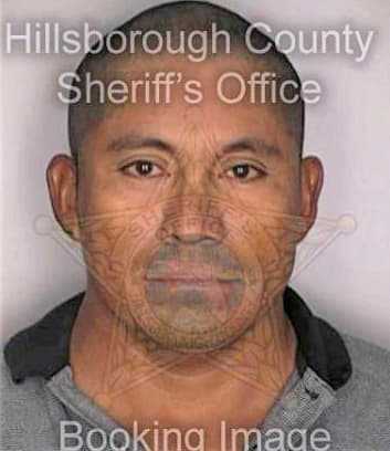 Manuel Miguel - Hillsborough County, FL 