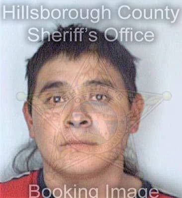 Granadosabad Rigoberto - Hillsborough County, FL 