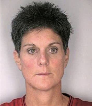 Steib Karen - Hillsborough County, FL 