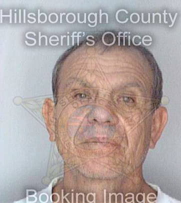 Menendezsentiso Humberto - Hillsborough County, FL 