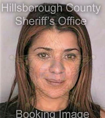 Matheu Liza - Hillsborough County, FL 