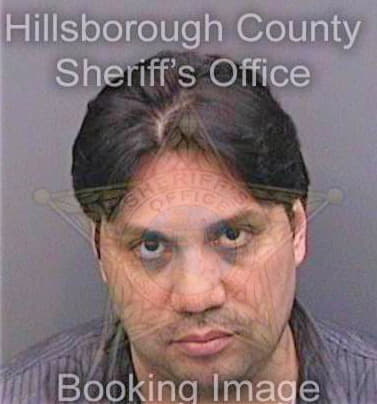 Seija Luigi - Hillsborough County, FL 