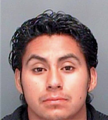 Perez-Zenil Ricardo - Pinellas County, FL 