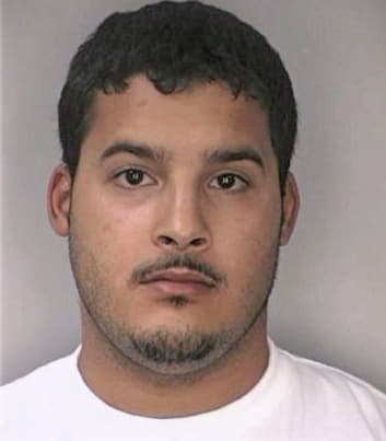 Dejesus Alberto - Hillsborough County, FL 