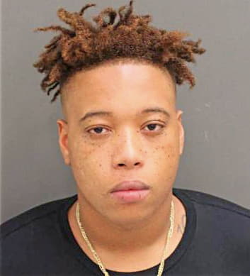 Hollinger Altravious - Orange County, FL 