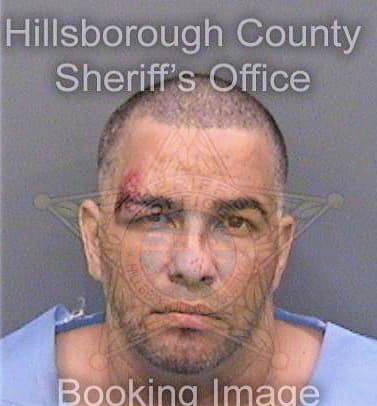 Santiago Gabriel - Hillsborough County, FL 