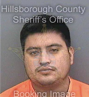 Mendozahernandez Jesus - Hillsborough County, FL 
