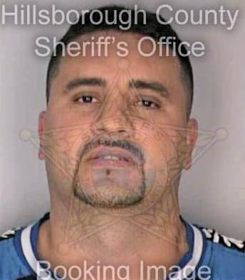 Vargas Juan - Hillsborough County, FL 