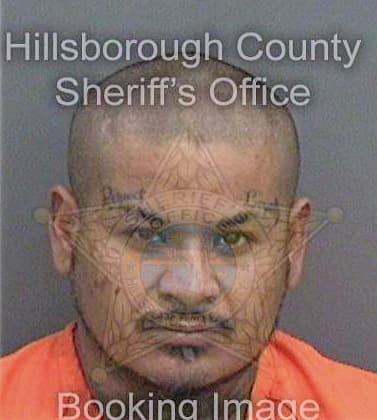 Mancha Manuel - Hillsborough County, FL 