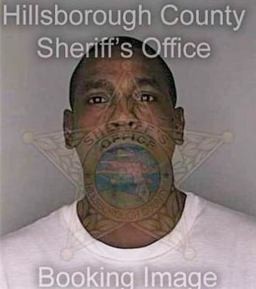 Monroe Michael - Hillsborough County, FL 