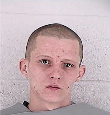 Leach Anthony - Johnson County, KS 