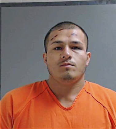 Ramirez Francisco - Hidalgo County, TX 