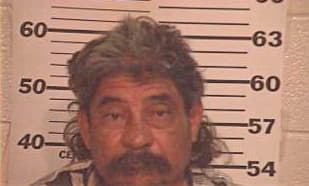 Garza Jesus - Hidalgo County, TX 