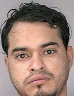 Villelahernandez Jose - Hillsborough County, FL 
