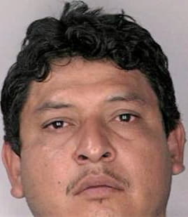 Salazar Alejandro - Hillsborough County, FL 