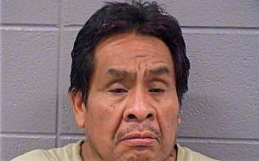 Dominguez Arnulfo - Cook County, IL 