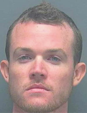Allen David - Lee County, FL 