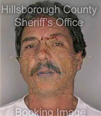 Hernandez James - Hillsborough County, FL 
