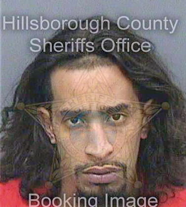 Gonzalez Anthony - Hillsborough County, FL 