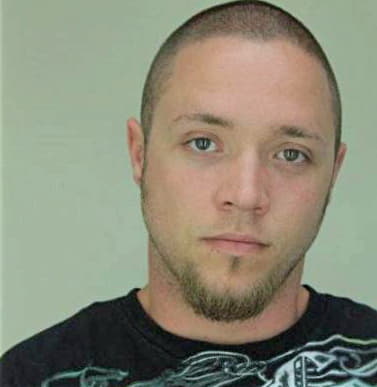 Lewis Brandon - Hillsborough County, FL 