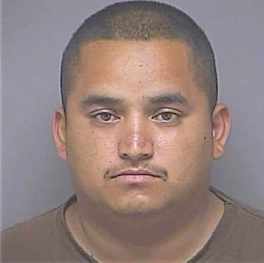 Camarillo Carlo - Denton County, TX 