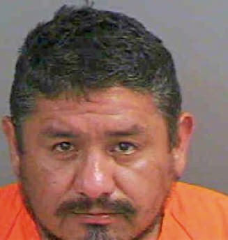 Bravo Cleto - Collier County, FL 