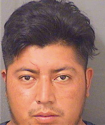 Moralescoyoy Rony - PalmBeach County, FL 