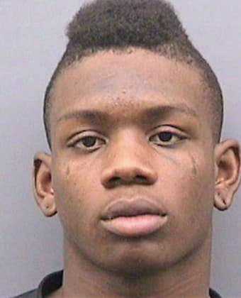 Johnson Andre - Hillsborough County, FL 