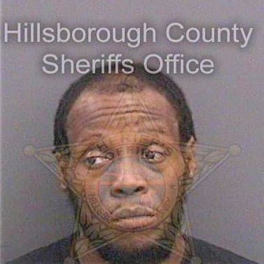 Brown Anthony - Hillsborough County, FL 
