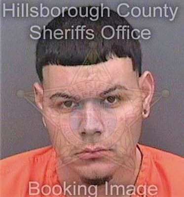 Luna Carlos - Hillsborough County, FL 