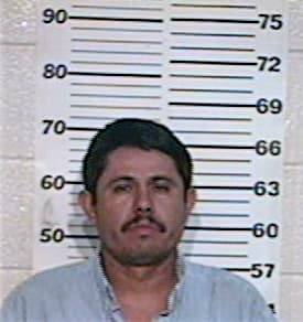 Picasso Heriberto - Hidalgo County, TX 