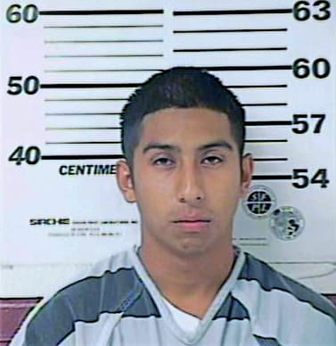 Cerrillo Miguel - Henderson County, TX 