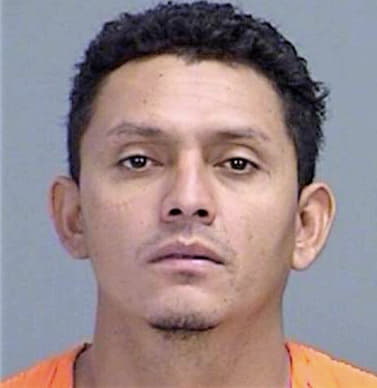 Gomez Bladimir - Brazos County, TX 