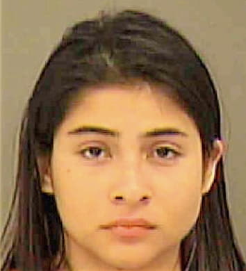Ruiz Cindy - Mecklenburg County, NC 