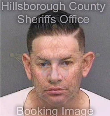 Gonzalez Gamaliel - Hillsborough County, FL 
