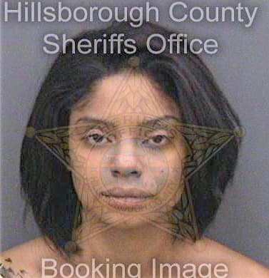 Mejia Joice - Hillsborough County, FL 