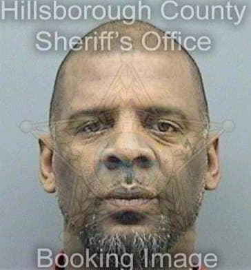 Mcleroy Michael - Hillsborough County, FL 