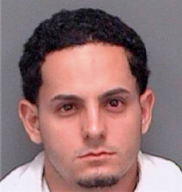 Castrogalvan Alberto - Pinellas County, FL 
