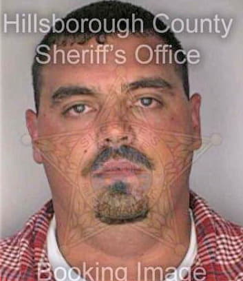 Tice David - Hillsborough County, FL 