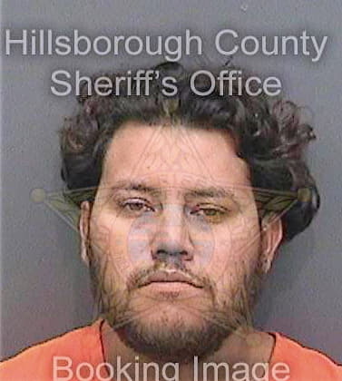 Garcia Gerardo - Hillsborough County, FL 