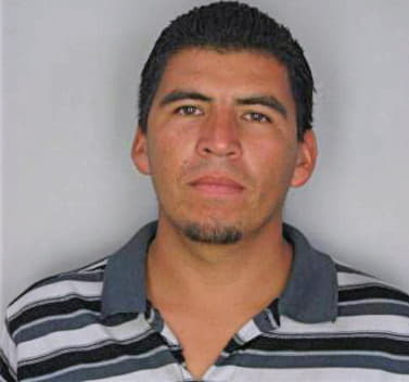 Cifuentesgarcia Moises - Hillsborough County, FL 