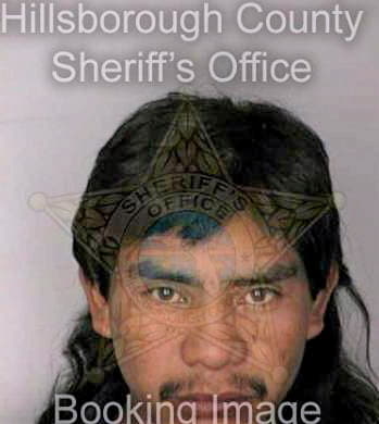 Gomezgomez Antonio - Hillsborough County, FL 