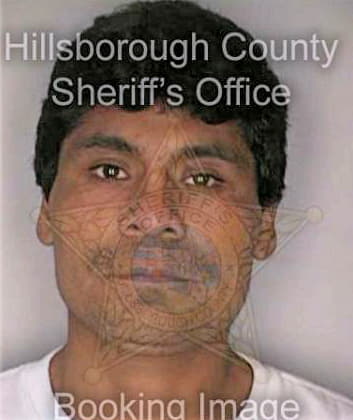 Ruisperez Rey - Hillsborough County, FL 