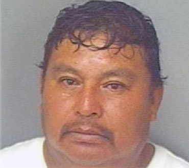Ramirez Simon - Polk County, FL 