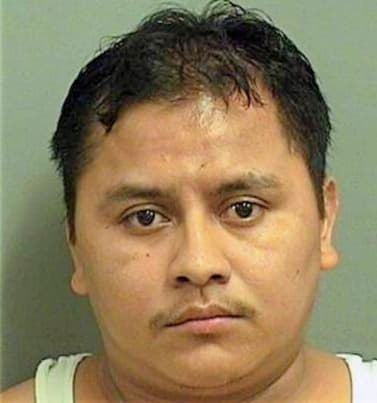 Alonso Juan - PalmBeach County, FL 