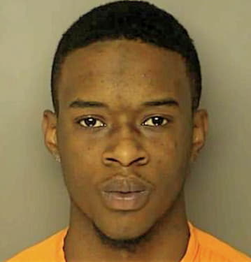 Williams Shatek - Horry County, SC 