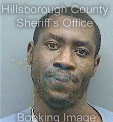 Brookins Demetrius - Hillsborough County, FL 