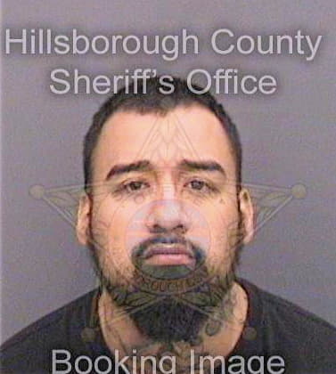 Hernandez Francisco - Hillsborough County, FL 