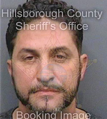 Estevez Luis - Hillsborough County, FL 