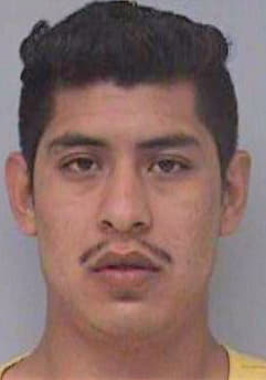 Barreto Mauro - Desoto County, MS 
